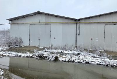 Popesti Centura spatiu depozitare 450 -2000 mp - 5