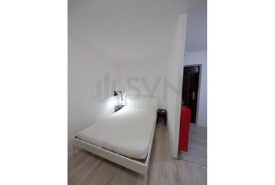 Apartament cu 1 camere semidecomandat, mobilat în Brâncoveanu - 2