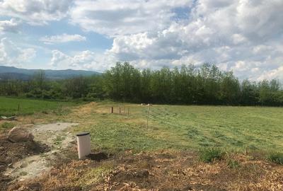 Teren de 60900 mp, în Gârbova - 1