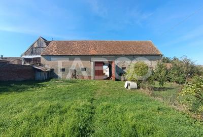 Casa de patrimoniu cu teren arhitectura saseasca sat Nou judetul Sibiu Casa de patrimoniu cu teren arhitectura saseasca sat Nou judetul Sibiu - 14