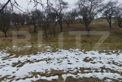 Teren de 1268 mp, în Mihai Viteazu - 2