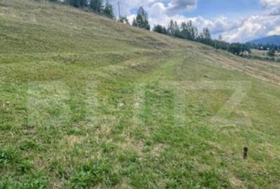 Teren ideal pentru investi?ie, ?aru Dornei, 36.000 mp - 7