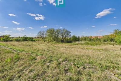 Teren intravilan 6115mp pentru investiții Firiteaz Teren intravilan 6115mp pentru investiții Firiteaz - 2