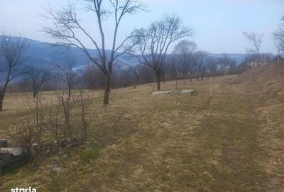 Teren de 5976 mp, în Moisei - 3