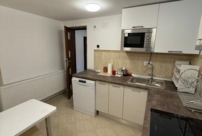 Duplex cu 2 camere cu Canalizare în P-ța Unirii - 4
