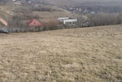 Teren de 880 mp, în Făget - 3