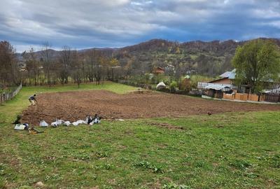 Teren vanzare in comuna Adunati - zona BREAZA - Prahova Teren vanzare in comuna Adunati - zona BREAZA - Prahova - 5