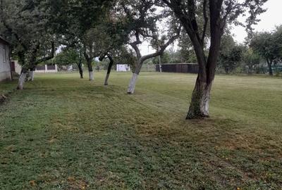 Spațiu comercial, în Băcel - 4