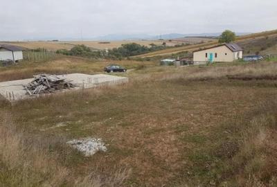 Spațiu comercial, în Buceș - 2