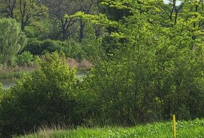 Teren 520mp, pe str. "Trei Lacuri", 90E/mp - 2