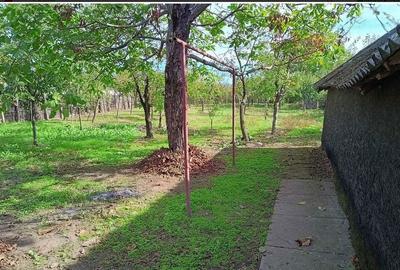 Casă cu 2 camere în Pădureți - 4