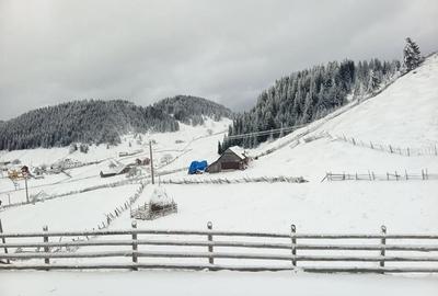 Teren Intravilan Fundata 1421Mp - 5