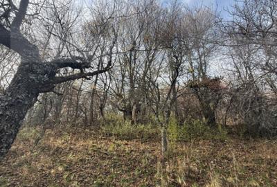 Teren de 20424 mp, în Cerbăl