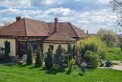 Casă cu 7 camere cu Teren 20855 Mp în Central - 5