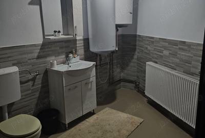 Spatiu Camere pentru cazare Calimanesti - 3