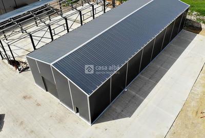 Valea Lupului - Metro, hala constructie noua, 582mp utili - 10