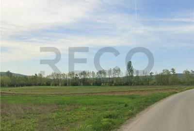 Spațiu comercial, în Drăgești - 3