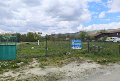 Teren Construcții intravilan de 19209 mp, în Crasna - 3