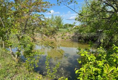 Teren 19000mp , iaz -120mp, Botosanita, Siret - 4