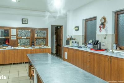 Spațiu comercial, de 600 mp, în Coșnea - 14