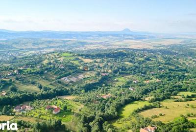 Teren de 2307 mp, în Bran - 10