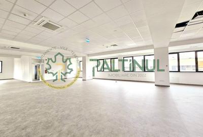 Spațiu comercial, de 427 mp, în Turnișor