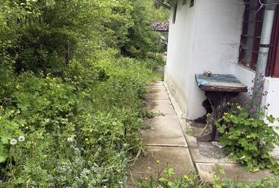 Casă cu 3 camere în Furnica - 3