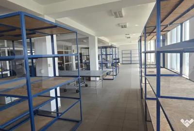 Spațiu comercial, de 750 mp, în Calea Severinului - 13