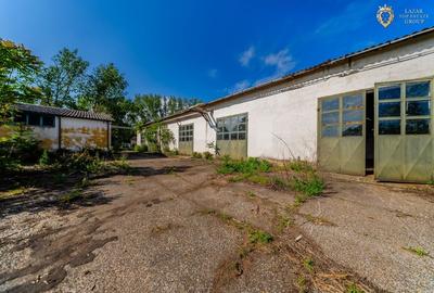 Cladire industriala de vanzare cu potential 3,5 ha in Batania - 7