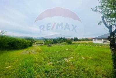 Teren pretabil constructii/10 min de Baia Mare - 7