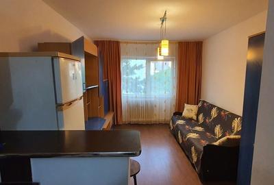 Garsonieră în Timișu de Jos - 1