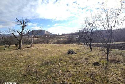 Teren de 3800 mp, în Mirșid - 5