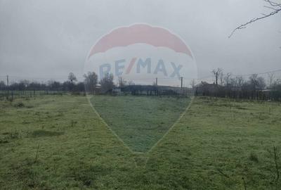 Teren agricol intravilan de 2205 mp, în Cocora - 6