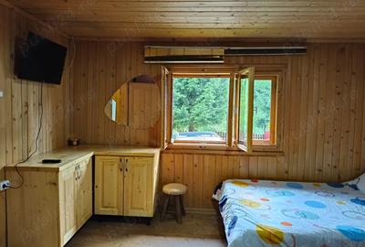 Inchiriez cabana Revelion 4500 lei - 6