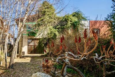 Casa din Poveste de Vânzare - Lacul Băneasa - 3