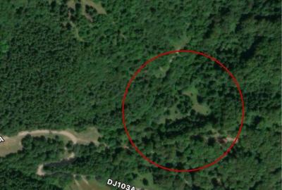 Spațiu comercial, în Dălghiu - 3