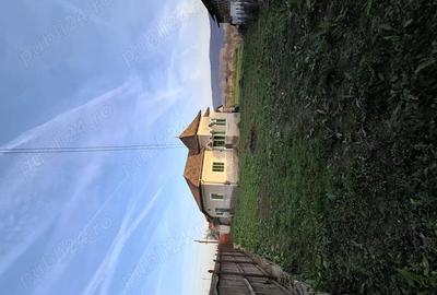 Casă în Pleșoiu (Nicolae Bălcescu) - 16