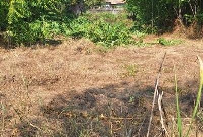 Urgent casa de vinzare Urgent casa de vinzare - 1