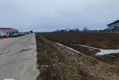 Teren de 8918 mp, în Sărata - 13