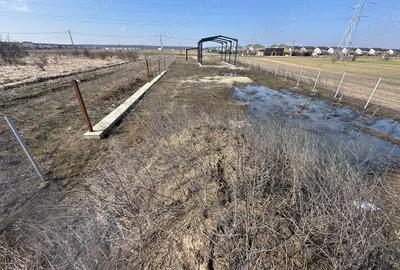 Teren de 2000 mp, în Săbăreni - 4