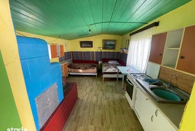 Casă cu 4 camere cu Teren 4000 Mp în Central - 6