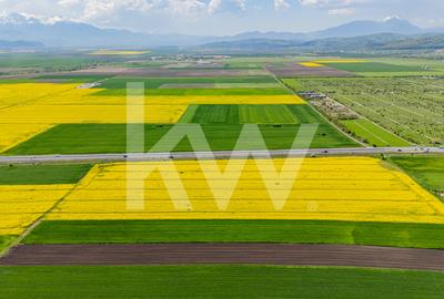 Teren agricol extravilan de 10600 mp, în Codlea - 6