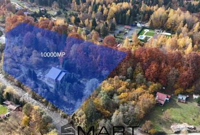 Pensiune 16 camere, teren 1ha, Valea Avrigului Pensiune 16 camere, teren 1ha, Valea Avrigului - 1