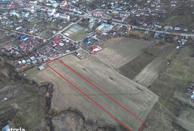 Teren de 5300 mp, în Răducăneni - 3