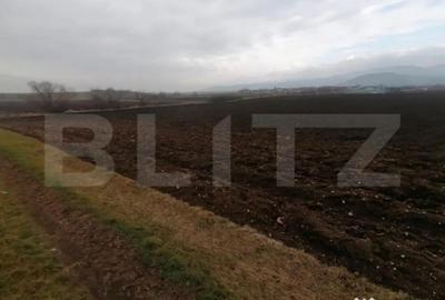 Teren de 21300 mp, în Central - 4