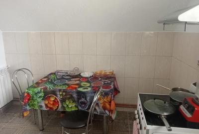 Apartament cu 2 camere decomandat în Lazaret - 4