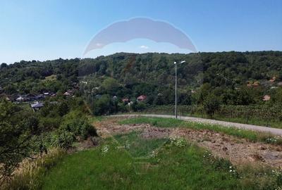 Teren extravilan de vanzare in Baia Mare- Valea Borcutului - 3