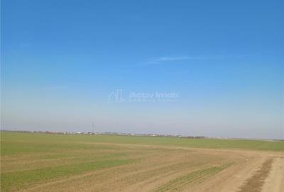 Teren 30250 mp - ideal investitie - - 2