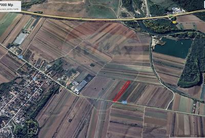 Teren Construcții intravilan de 7000 mp, în Stoenești (Florești-Stoenești) - 14