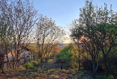 Spațiu comercial, în Valea Lupului - 2